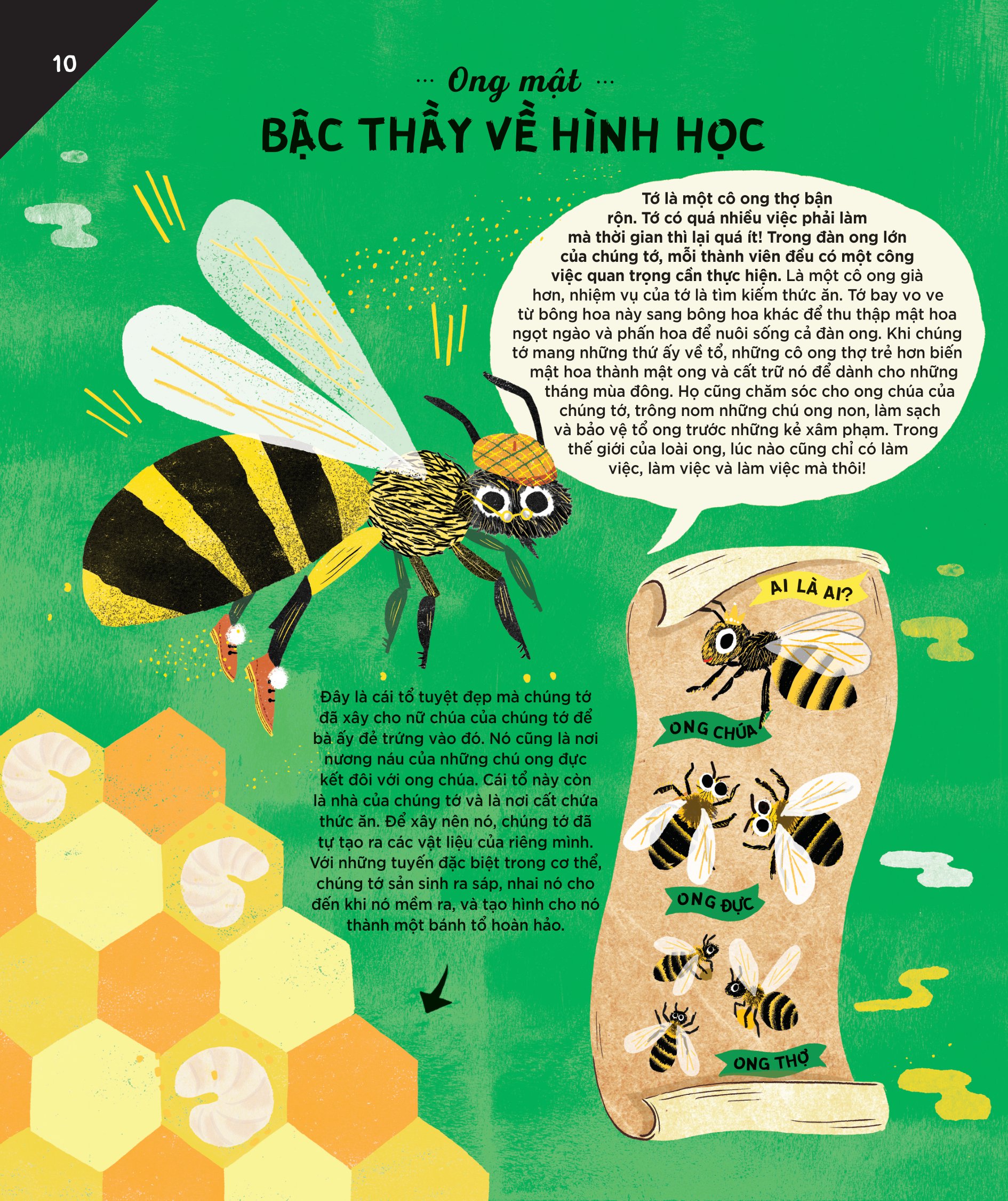 động vật có tầm ảnh hưởng - hạng mục: xây dựng - nguồn cảm hứng cho những công trình kiến trúc của loài người - Ảnh 7