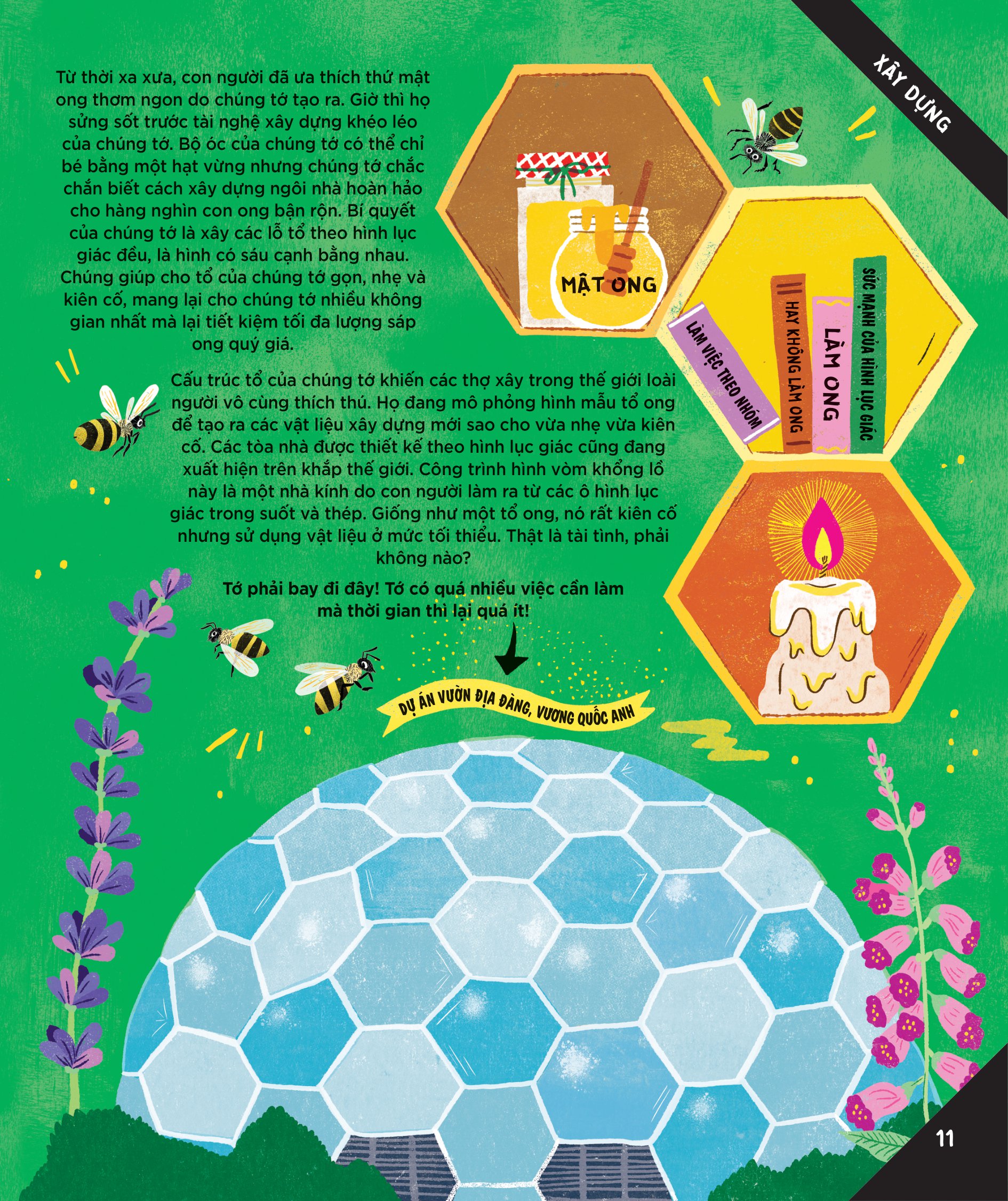 động vật có tầm ảnh hưởng - hạng mục: xây dựng - nguồn cảm hứng cho những công trình kiến trúc của loài người - Ảnh 8