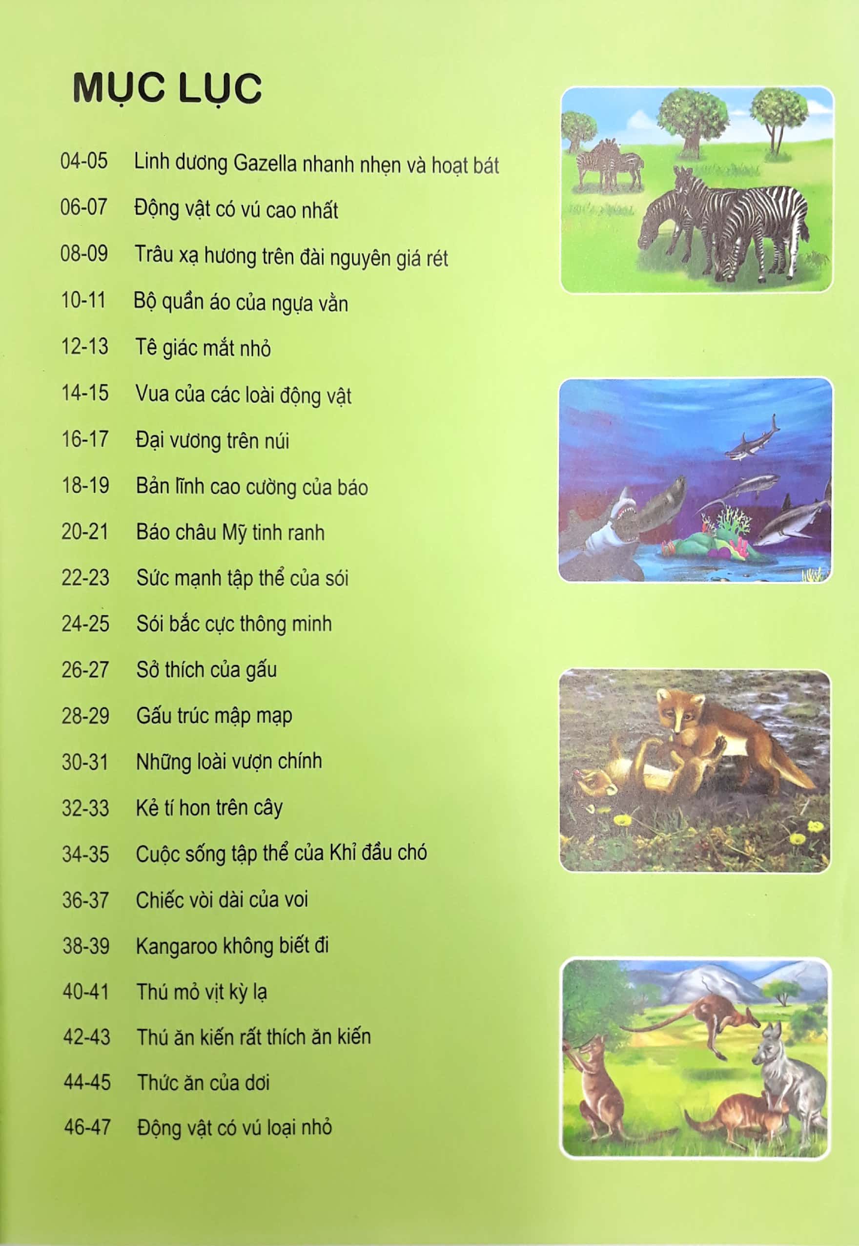 động vật có vú - thế giới động vật kỳ thú - Ảnh 4