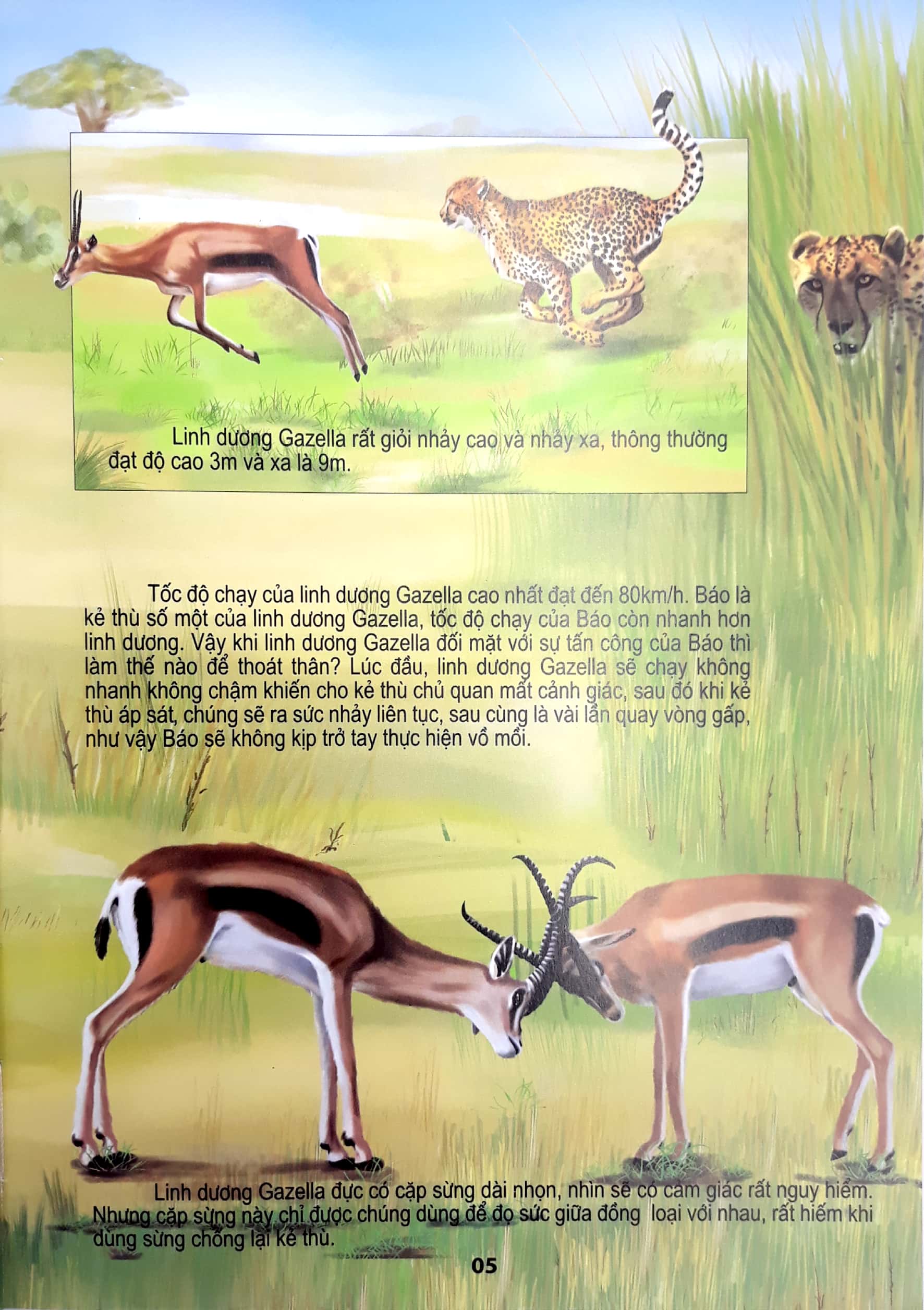 động vật có vú - thế giới động vật kỳ thú - Ảnh 6