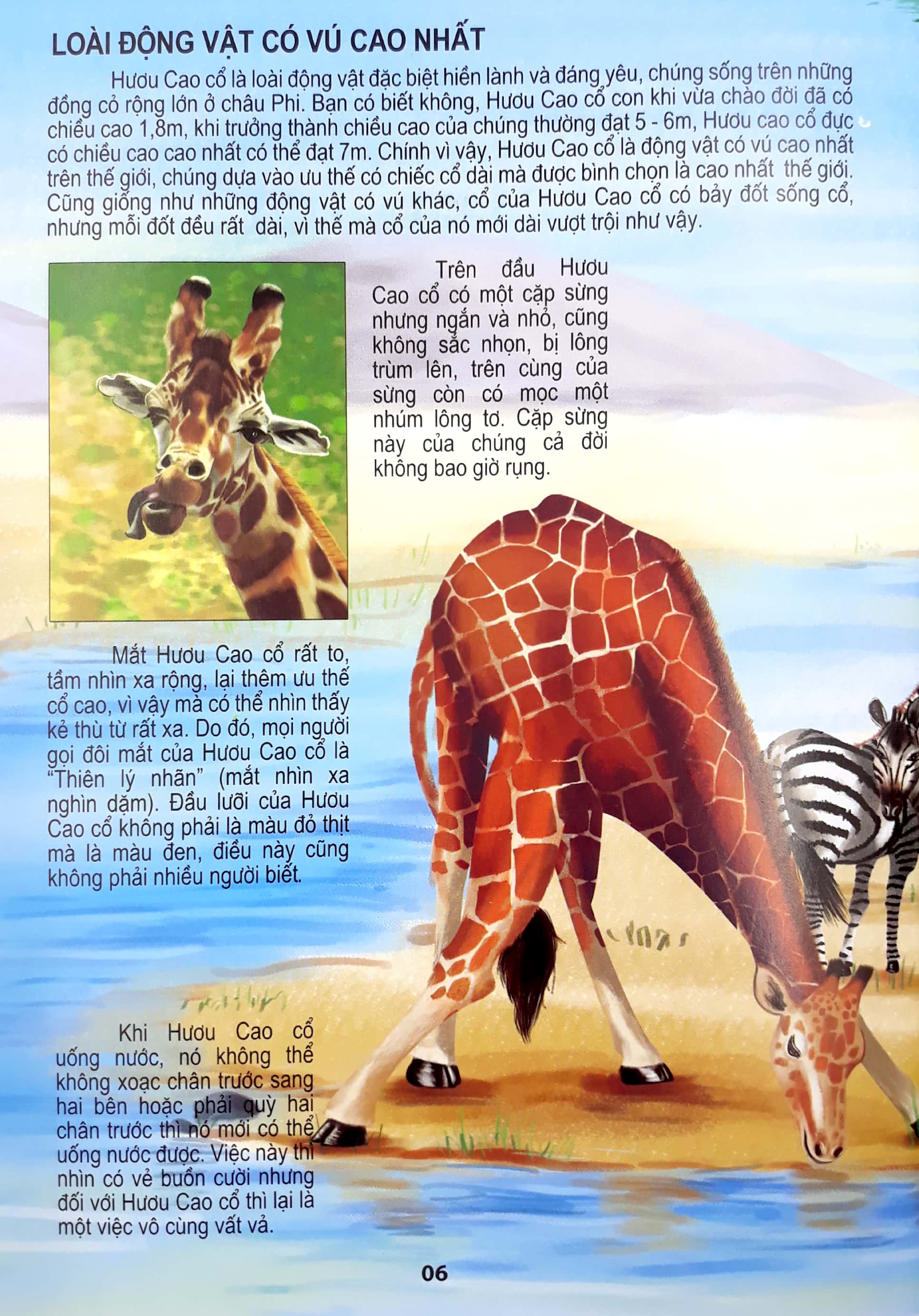 động vật có vú - thế giới động vật kỳ thú - Ảnh 7