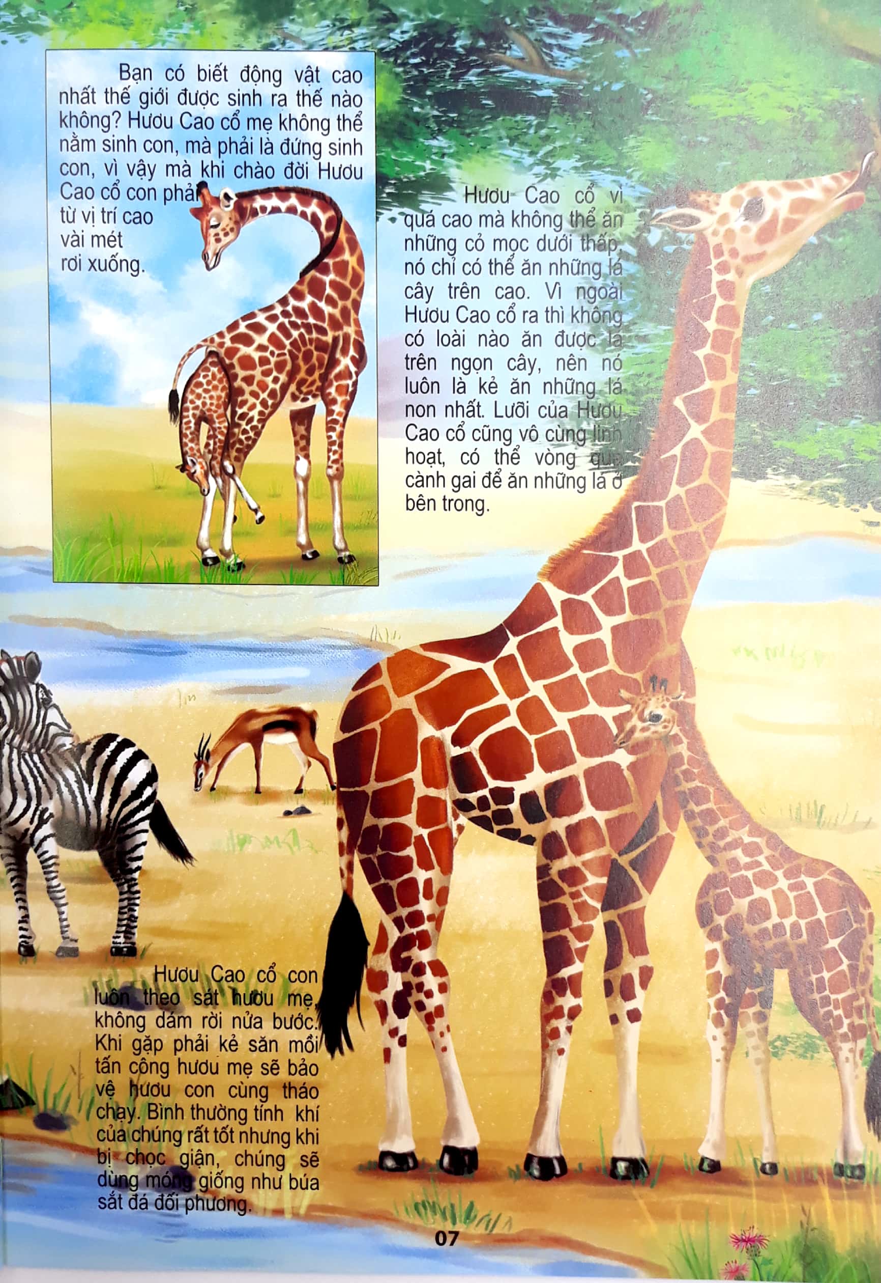 động vật có vú - thế giới động vật kỳ thú - Ảnh 8