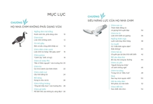 động vật kì thú - chim muông - Ảnh 3