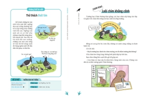 động vật kì thú - chim muông - Ảnh 6