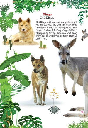 động vật ở châu úc - Ảnh 2