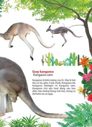 động vật ở châu úc - Ảnh 3