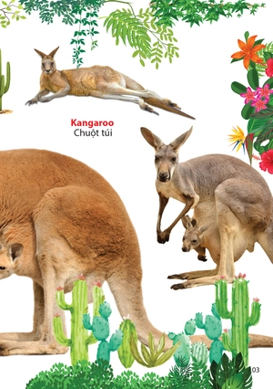 động vật ở châu úc - Ảnh 4