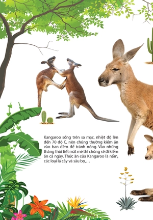 động vật ở châu úc - Ảnh 5