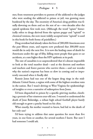 dopesick: dealers, doctors, and the drug company that addicted america - Ảnh 14