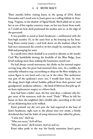 dopesick: dealers, doctors, and the drug company that addicted america - Ảnh 15