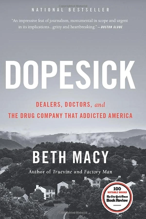 dopesick: dealers, doctors, and the drug company that addicted america - Ảnh 2