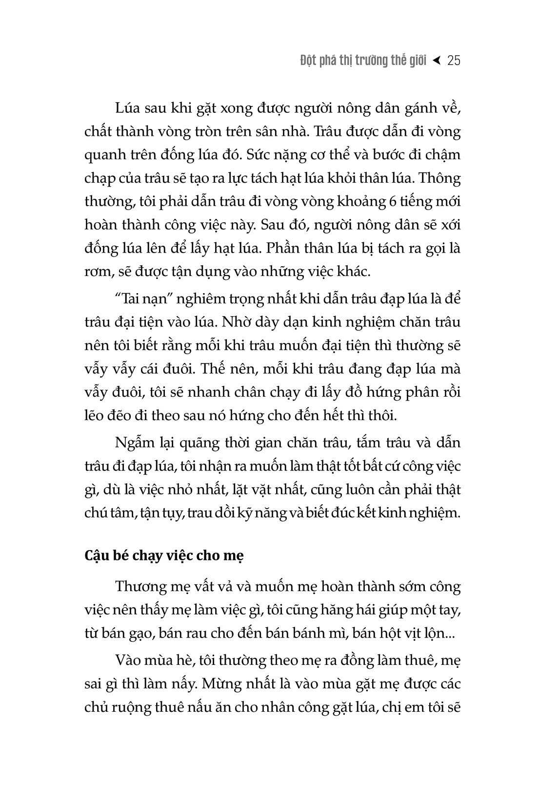 đột phá thị trường thế giới - Ảnh 15