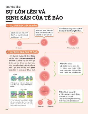 đột phá tư duy khoa học tự nhiên 6 - tập 1 - Ảnh 11