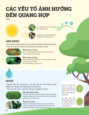 đột phá tư duy khoa học tự nhiên 7 - tập 2 - Ảnh 10