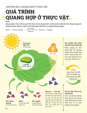 đột phá tư duy khoa học tự nhiên 7 - tập 2 - Ảnh 8