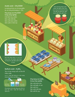 đột phá tư duy khoa học tự nhiên 8 - tập 1 - Ảnh 11