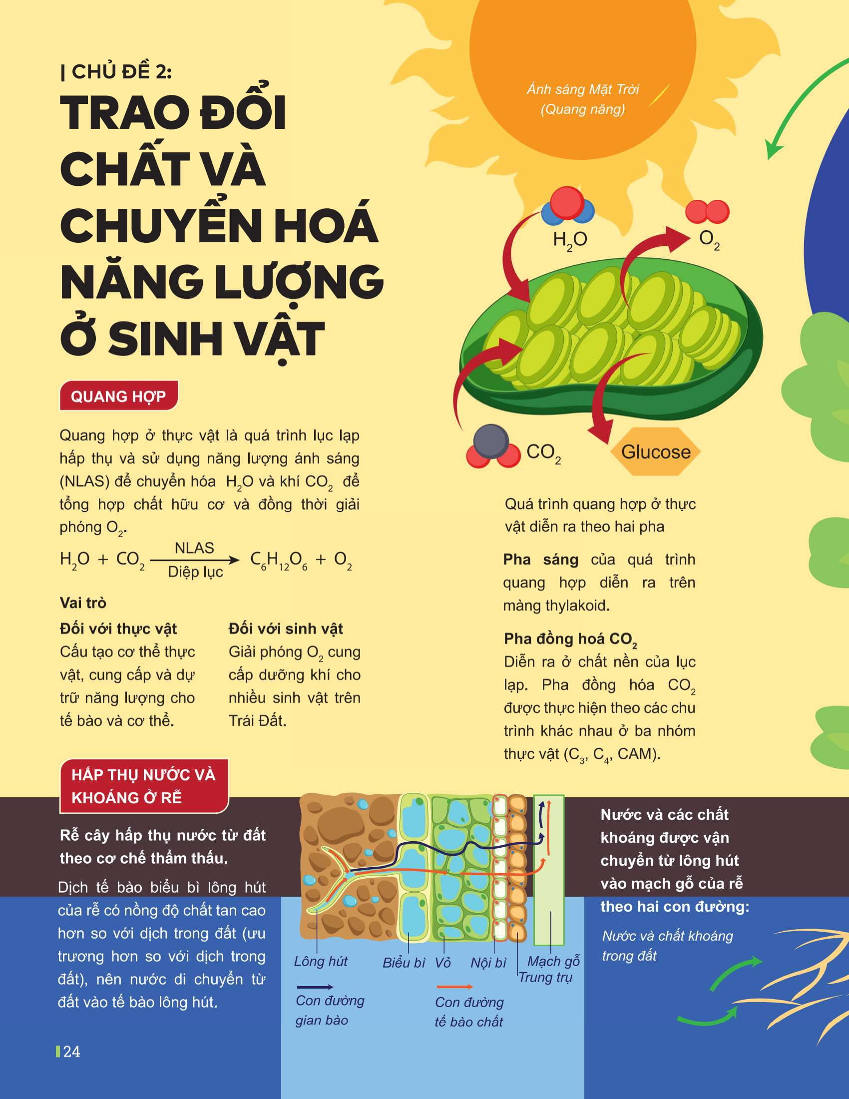 Đột Phá Tư Duy Kì Thi Tốt Nghiệp THPT - Môn Sinh Học - Ảnh 16