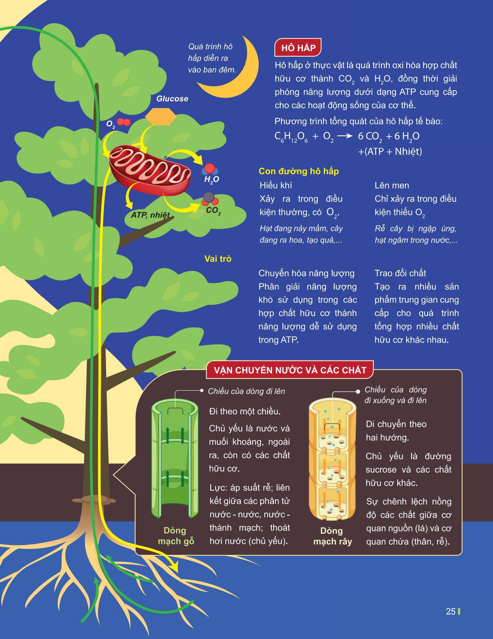 Đột Phá Tư Duy Kì Thi Tốt Nghiệp THPT - Môn Sinh Học - Ảnh 17