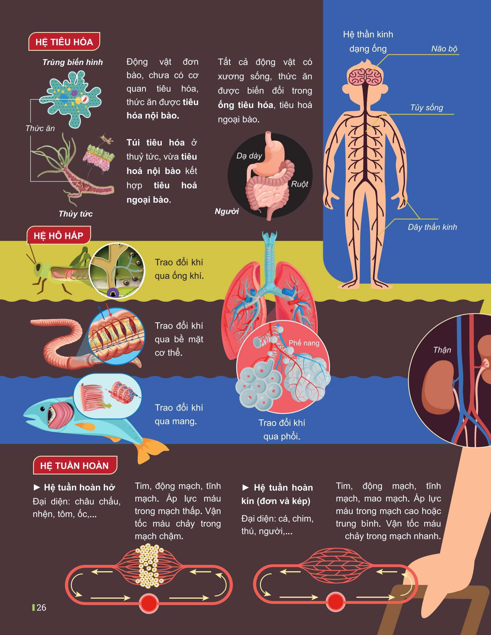 Đột Phá Tư Duy Kì Thi Tốt Nghiệp THPT - Môn Sinh Học - Ảnh 18