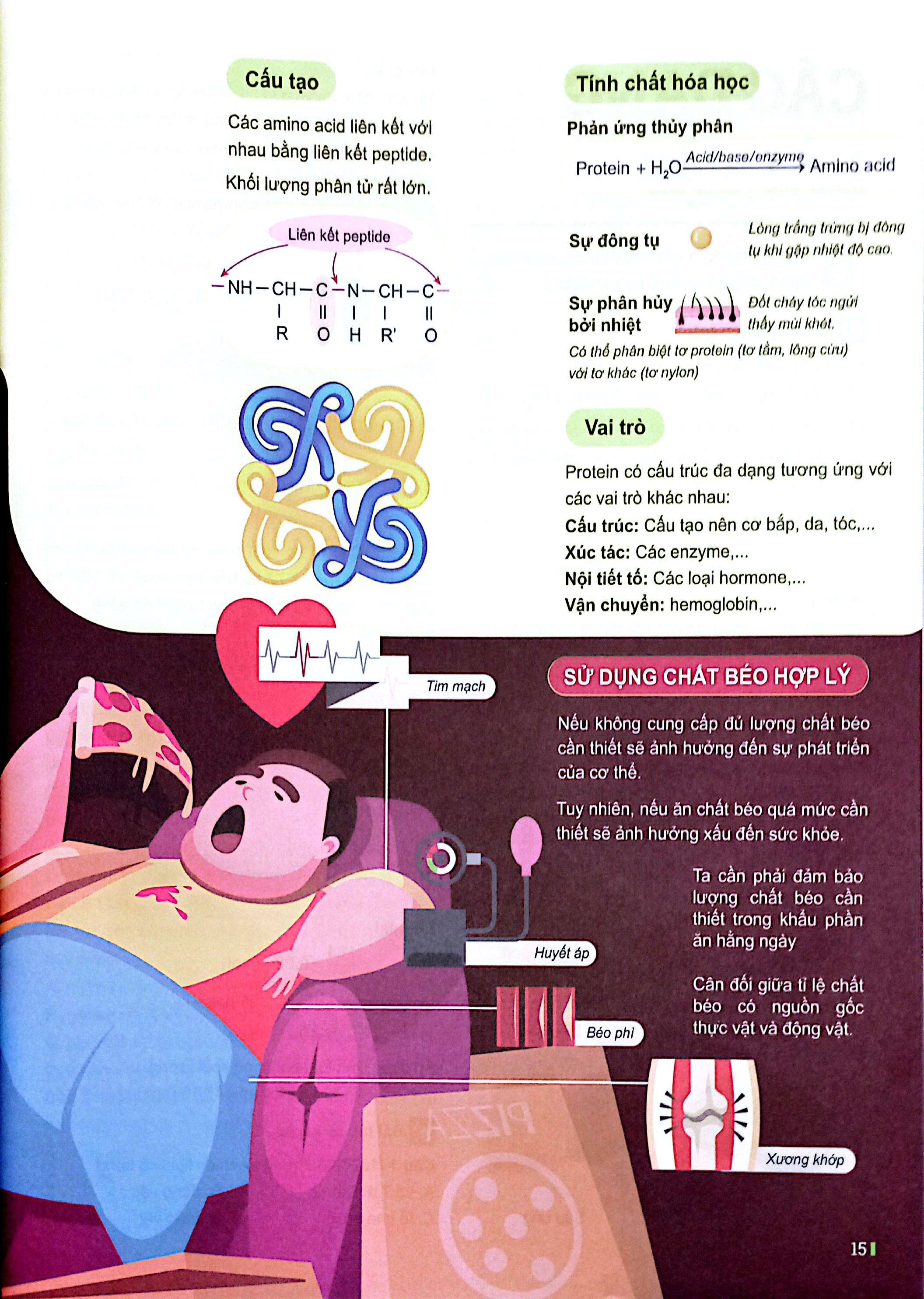 Đột Phá Tư Tuy Khoa Học Tự Nhiên 9 - Tập 2 - Ảnh 5