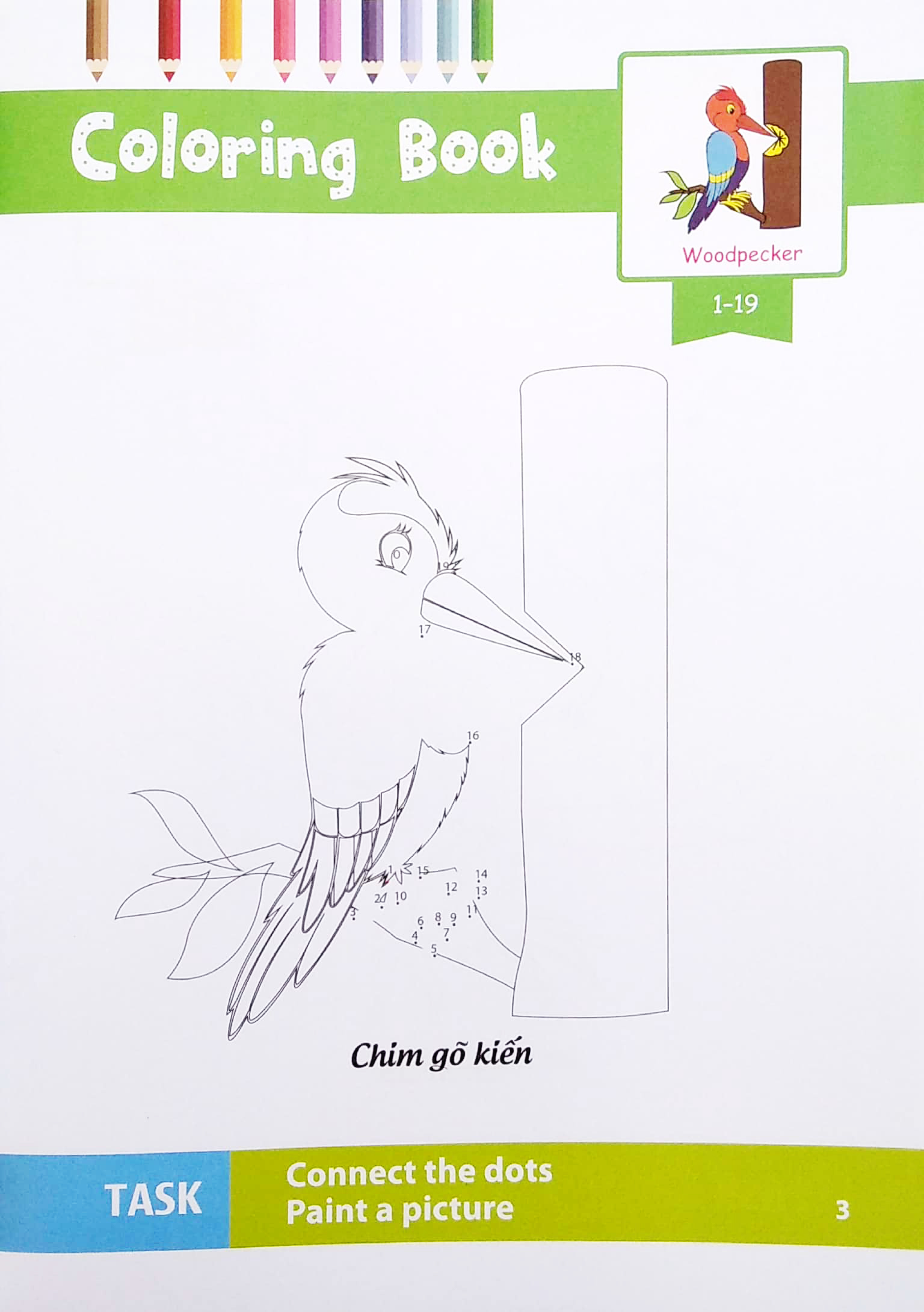 dot to dot coloring book - nối số & tô màu - các loài chim - Ảnh 5