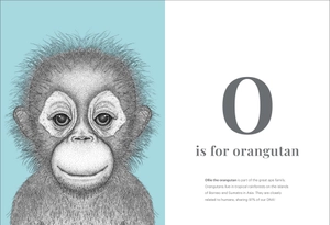 dots by donna - the animal alphabet - Ảnh 3