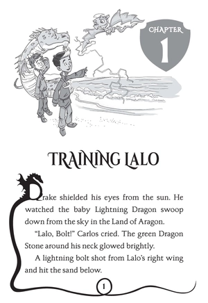 dragon masters #22: guarding the invisible dragons - Ảnh 5