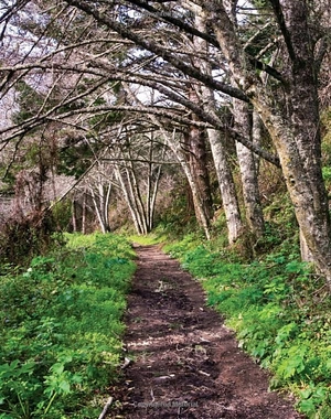 drawdown: the most comprehensive plan ever proposed to reverse global warming - Ảnh 6