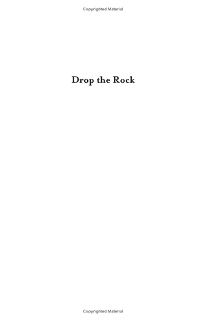 drop the rock: removing character defects - Ảnh 2