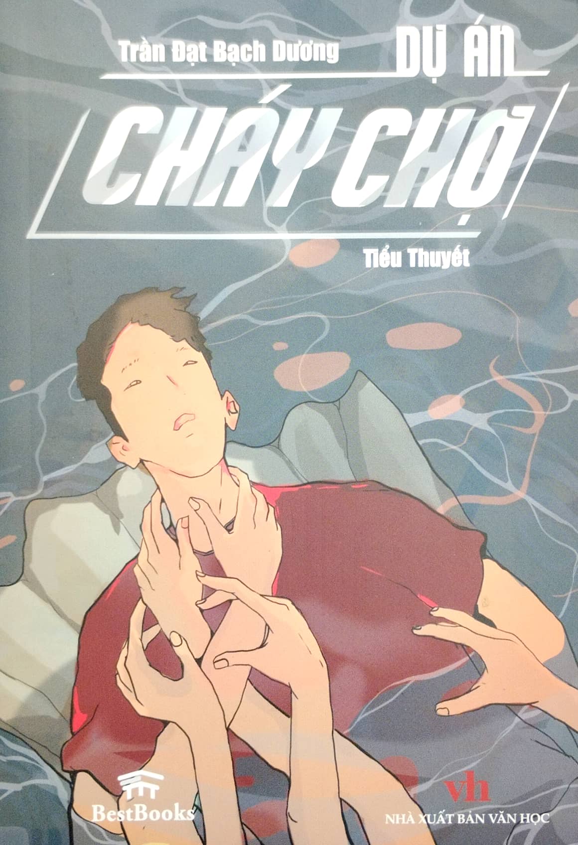 dự án cháy chợ - Ảnh 2