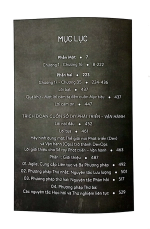 dự án phượng hoàng - Ảnh 4