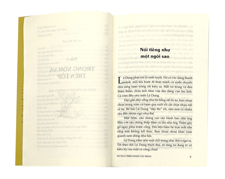 Đu Đưa Trên Ngọn Cây Bàng - Ảnh 2