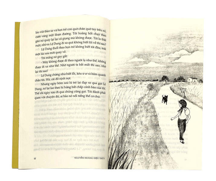 Đu Đưa Trên Ngọn Cây Bàng - Ảnh 3