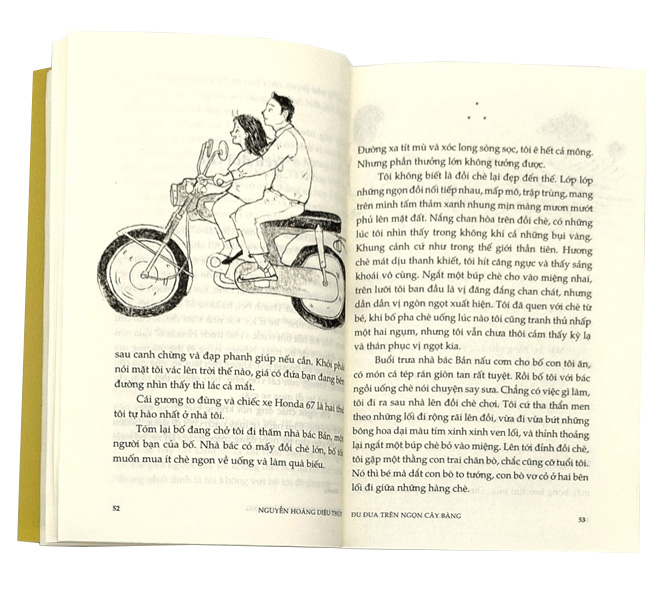 Đu Đưa Trên Ngọn Cây Bàng - Ảnh 4