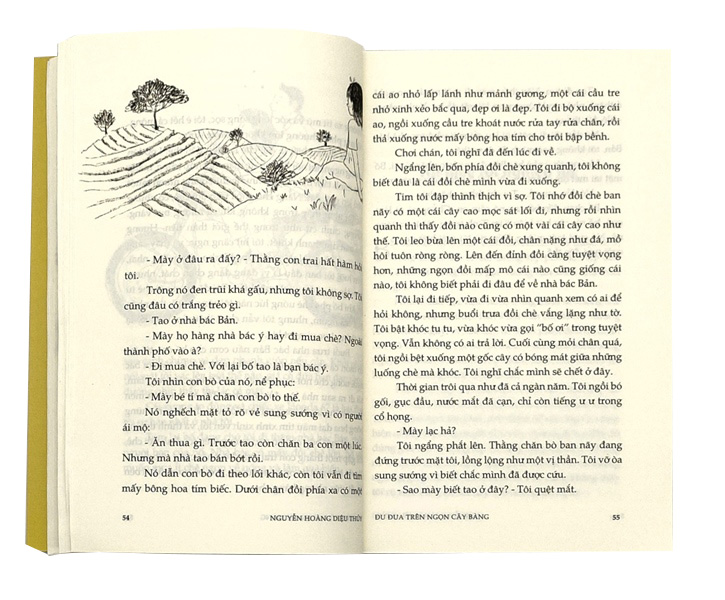 Đu Đưa Trên Ngọn Cây Bàng - Ảnh 5