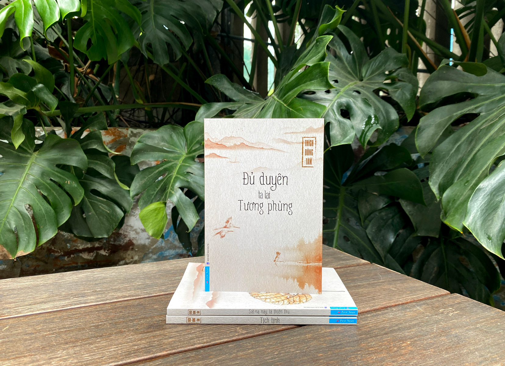 đủ duyên ta lại tương phùng - Ảnh 4