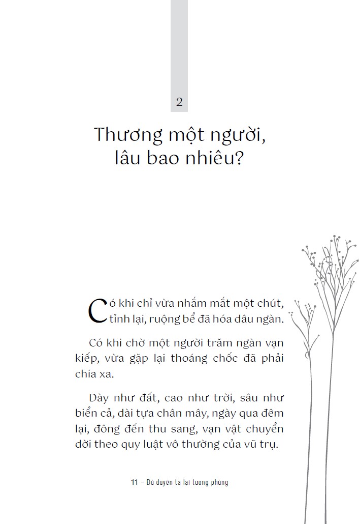 đủ duyên ta lại tương phùng - Ảnh 5