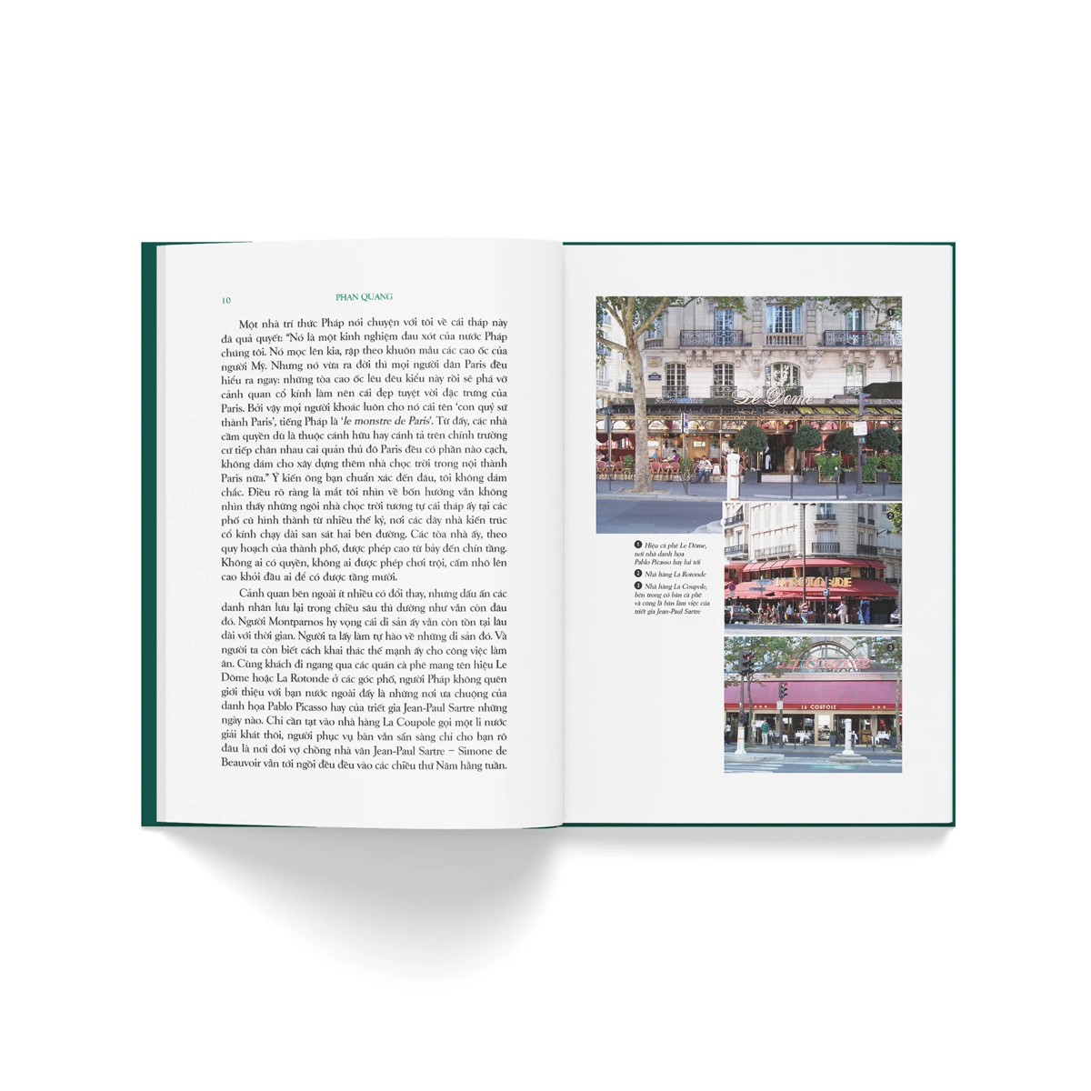 du ký phan quang - tiếc nuối hoa hồng - Ảnh 6