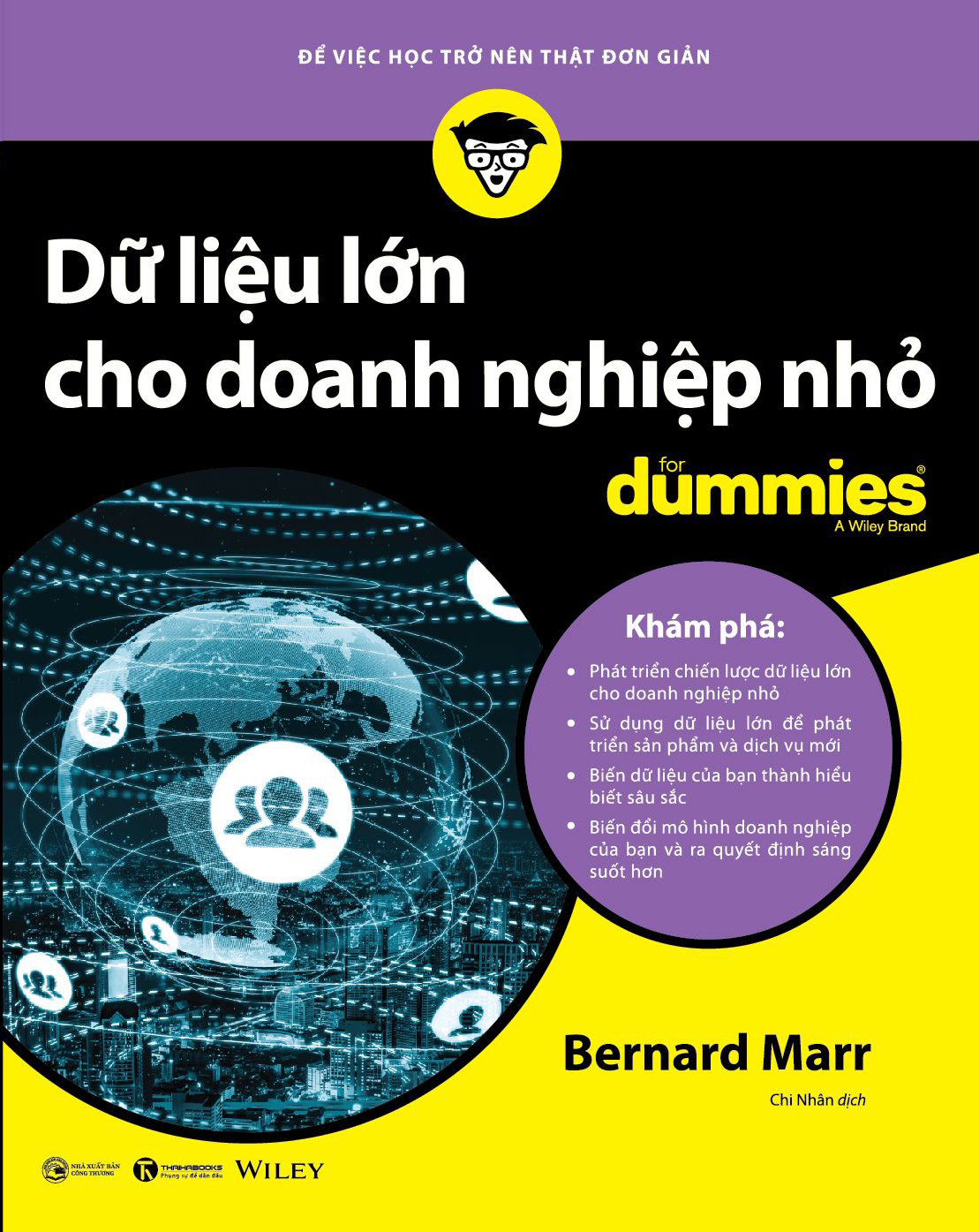 dữ liệu lớn cho doanh nghiệp nhỏ for dummies - Ảnh 2