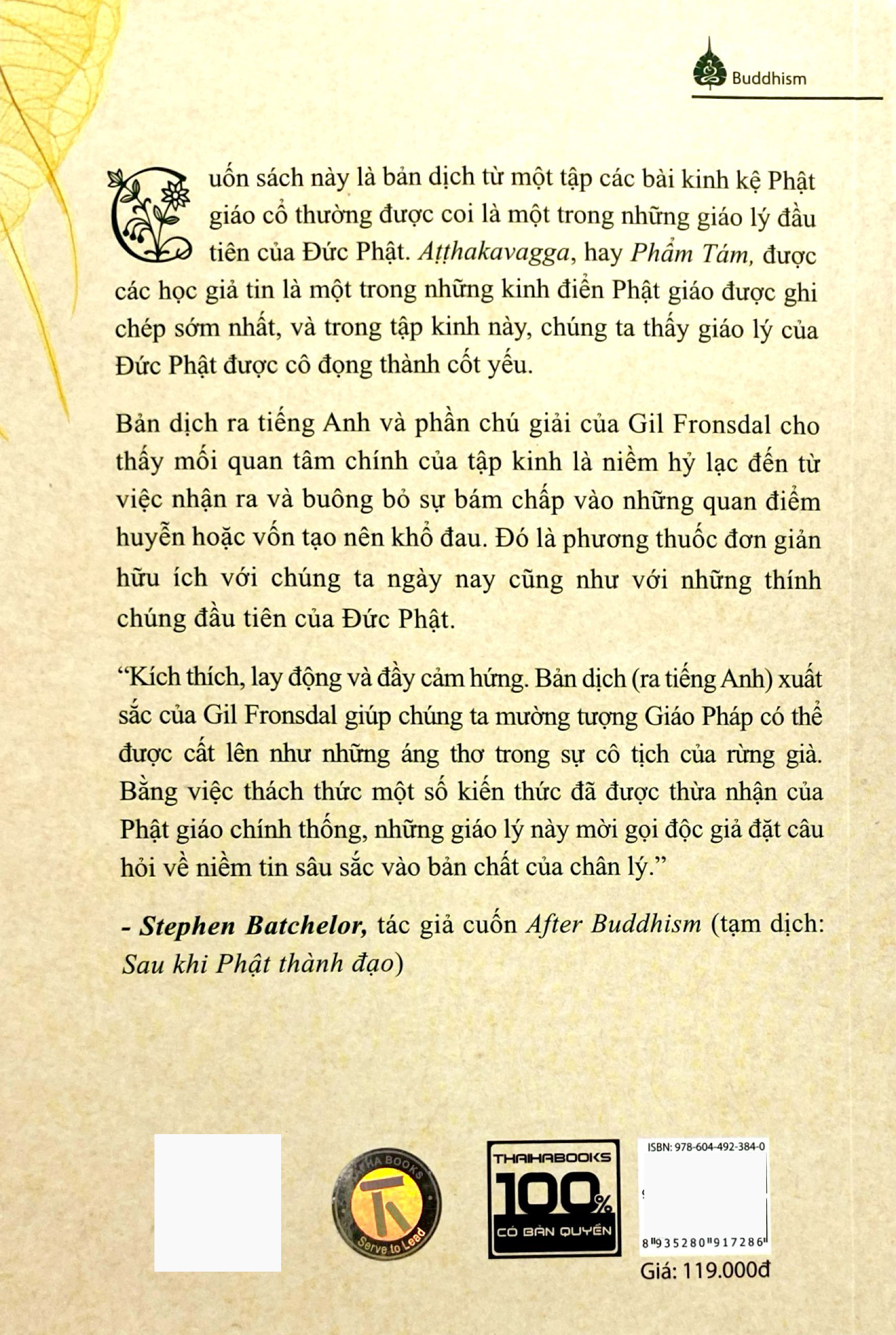 đức phật thời tiền phật giáo - trí tuệ từ những giáo lý sơ khai - Ảnh 14