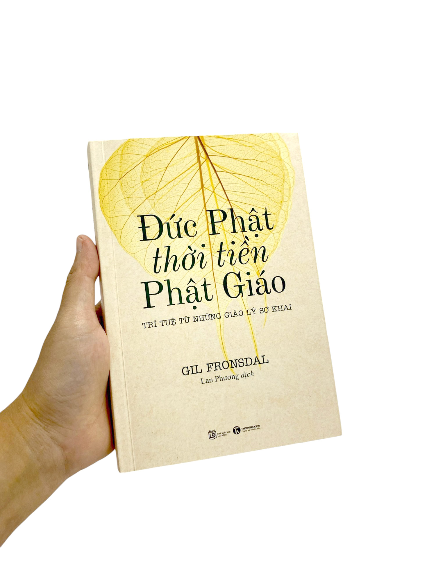 đức phật thời tiền phật giáo - trí tuệ từ những giáo lý sơ khai - Ảnh 16