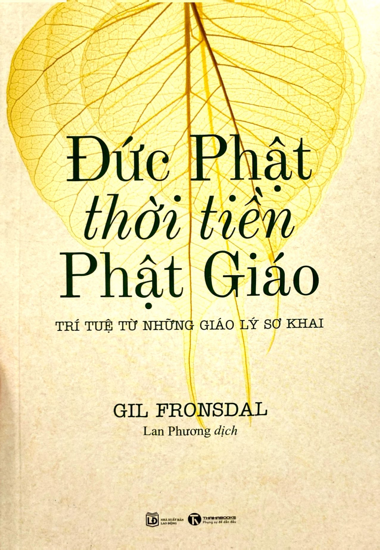 đức phật thời tiền phật giáo - trí tuệ từ những giáo lý sơ khai - Ảnh 2
