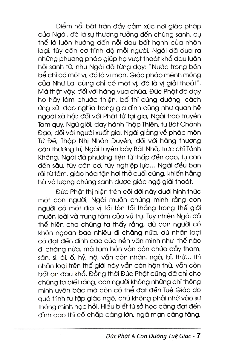 đức phật và con đường tuệ giác - Ảnh 4