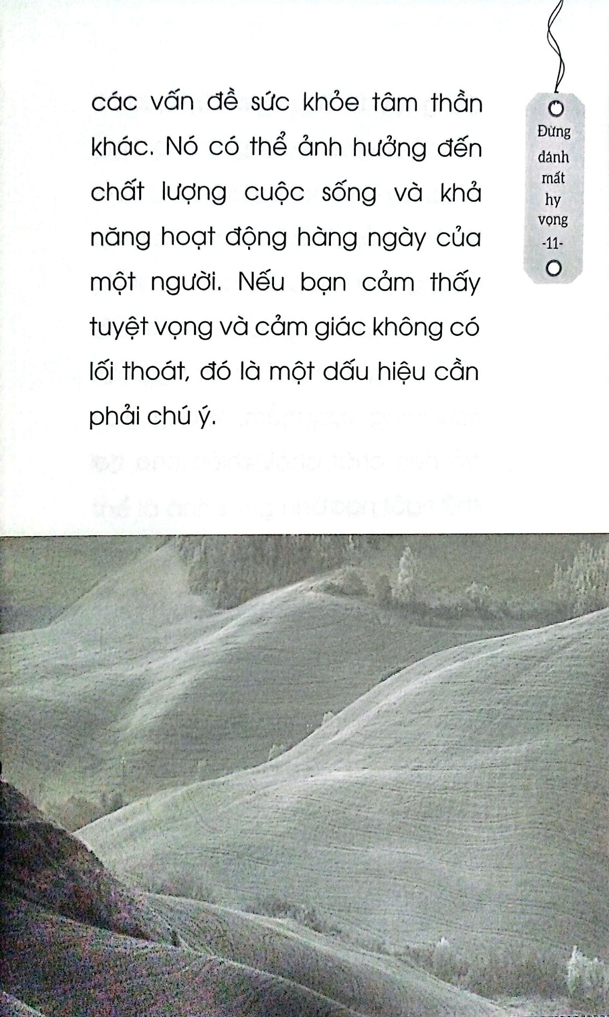 đừng đánh mất hy vọng - Ảnh 7