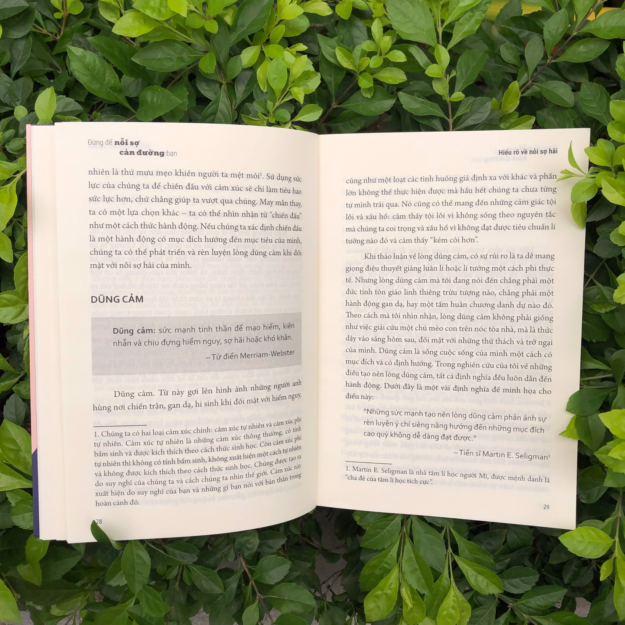 đừng để nỗi sợ cản đường bạn - Ảnh 4