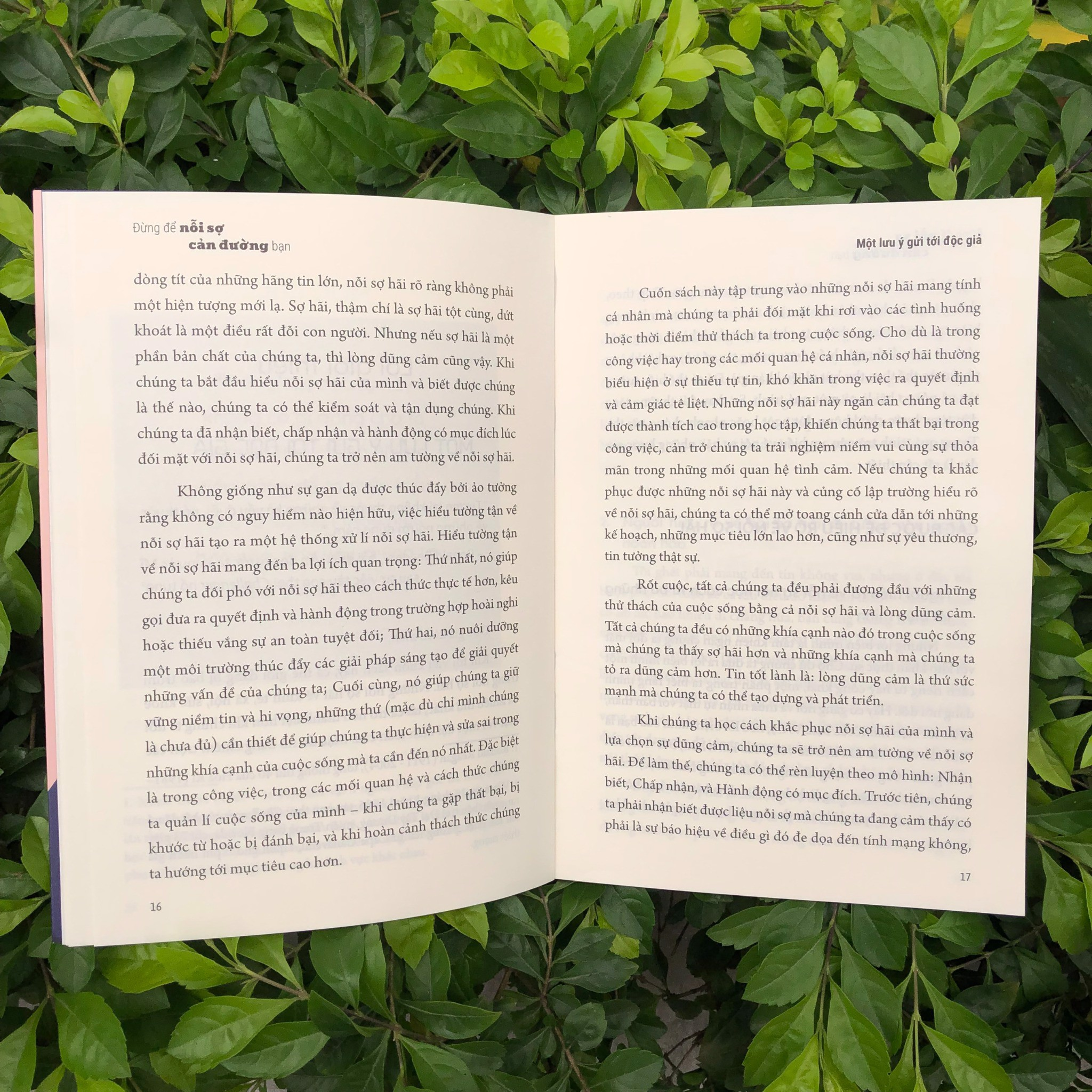 đừng để nỗi sợ cản đường bạn - Ảnh 6