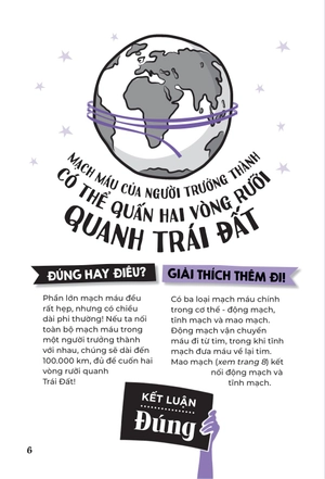 đúng hay điêu - sự thật về cơ thể người - Ảnh 7