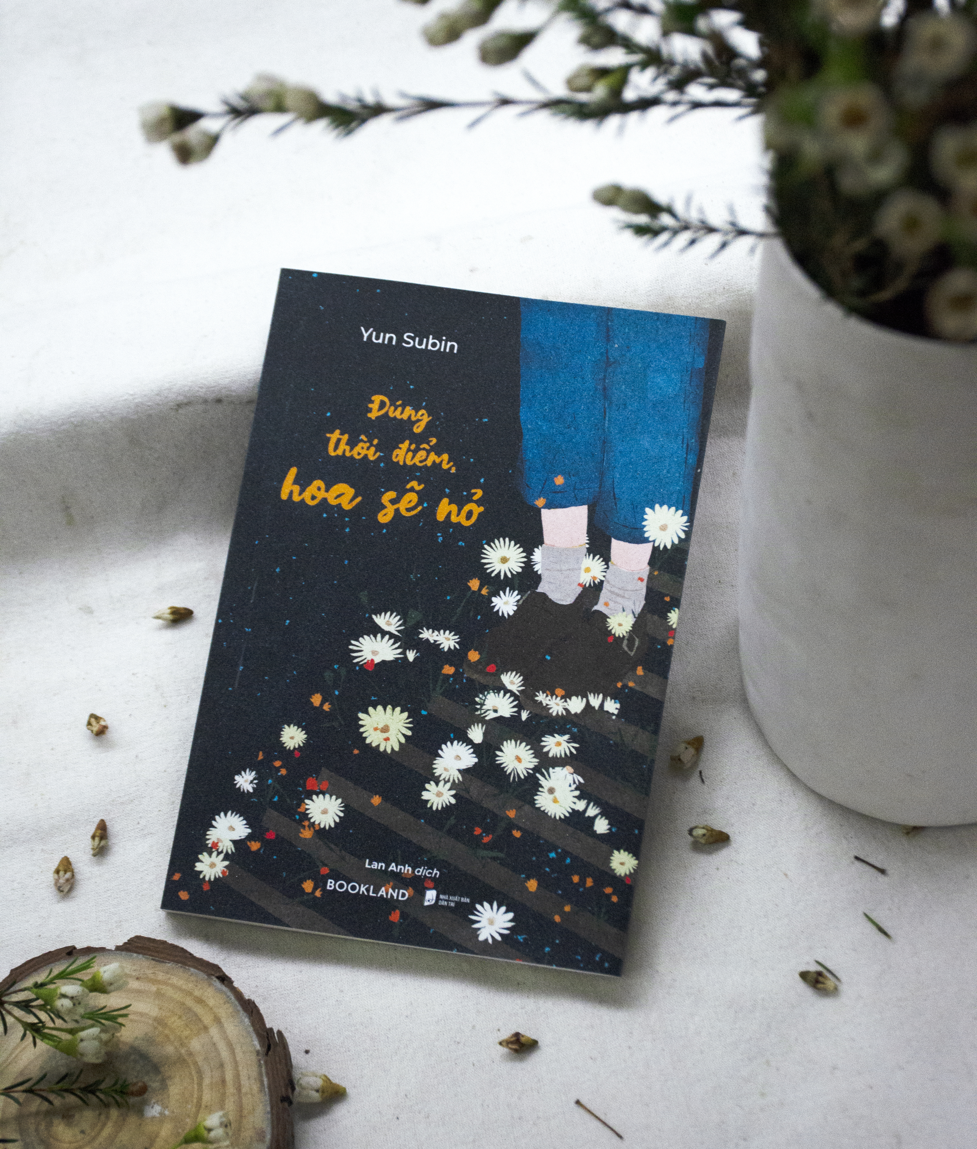 đúng thời điểm, hoa sẽ nở - Ảnh 3