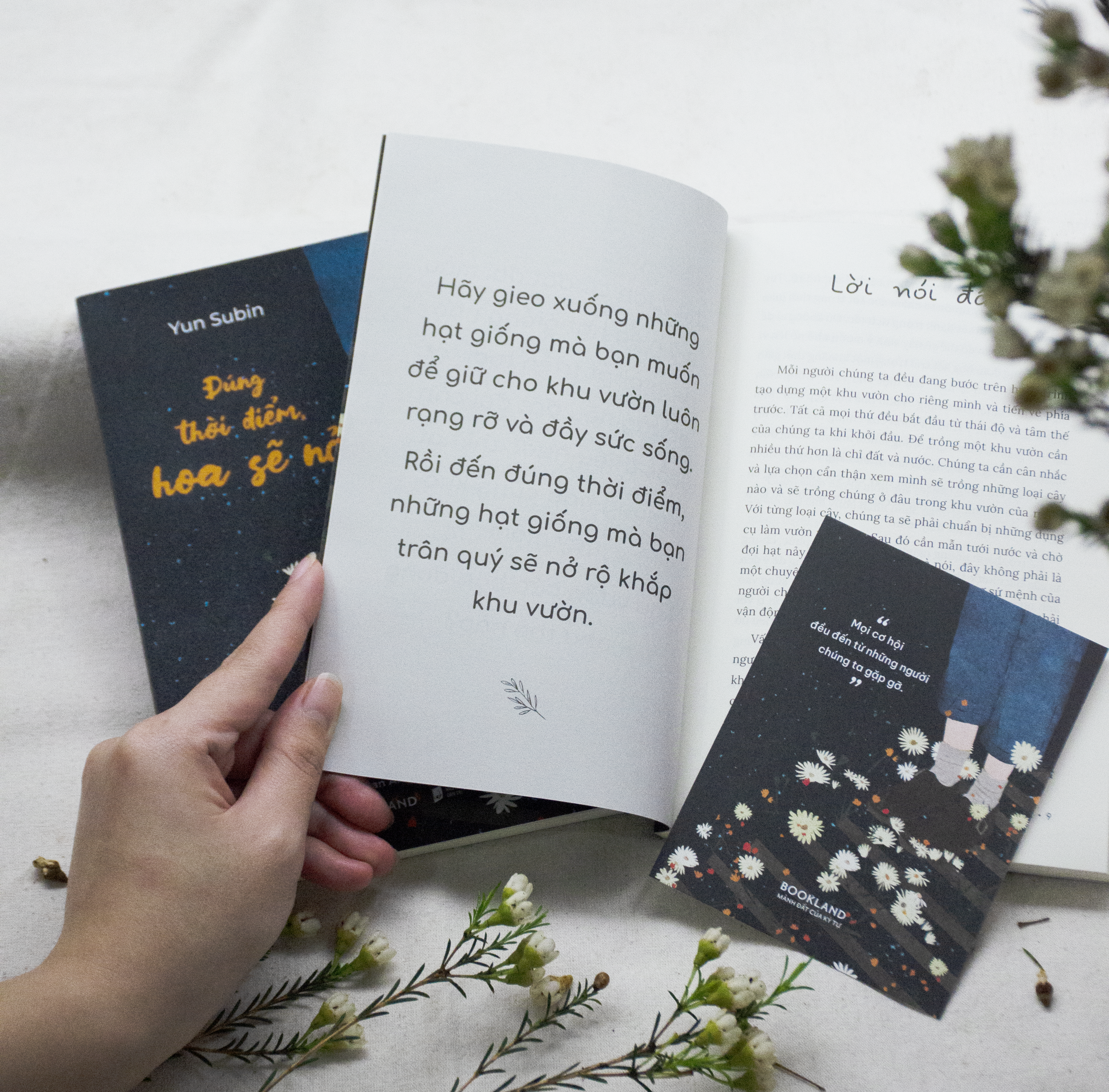 đúng thời điểm, hoa sẽ nở - Ảnh 7