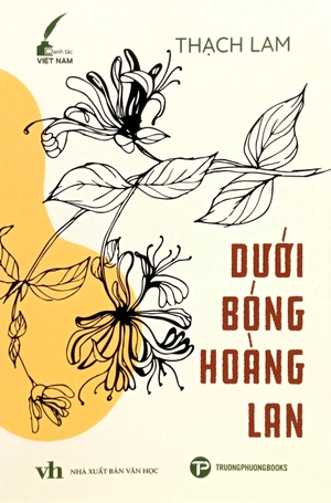 dưới bóng hoàng lan - Ảnh 2